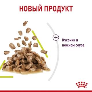 Влажный корм Royal Canin Sensory Smell для стимуляции рецепторов обоняния у кошек (соус) — изображение 2