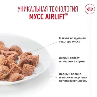 Влажный корм Royal Canin Appetite Control Care AirLift для контроля выпрашивания корма у кошек (мусс) — изображение 4