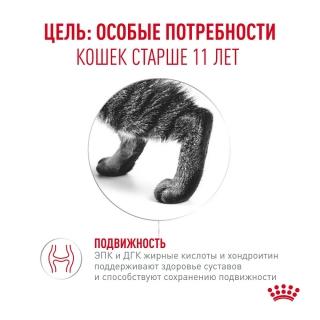 Влажный корм Royal Canin Ageing 11+ AirLift для кошек в возрасте старше 11 лет (мусс) — изображение 2
