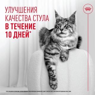 Влажный корм Royal Canin Digestive Care AirLift для взрослых кошек для поддержания здоровья пищеварительной системы (мусс) — изображение 2