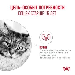 Влажный корм Royal Canin Ageing 15+ AirLift для кошек в возрасте старше 15 лет (мусс) — изображение 2
