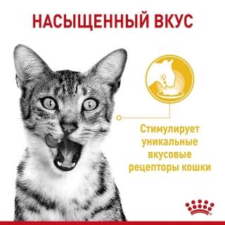 Влажный корм Royal Canin Sensory Taste для стимуляции вкусовых рецепторов кошки (желе) — изображение 2
