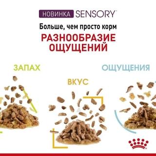 Ассорти влажных кормов Royal Canin Sensory Multipac линейки Sensory (соус) 3x4x85г — изображение 2