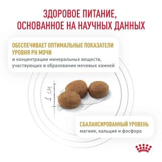 Корм для кошек Royal Canin Urinary S/O (лечение и профилактика мочекаменной болезни) — изображение 4