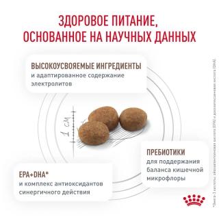 Лечебный сухой корм для собак Royal Canin Gastro Intestinal Low Fat, Гастро Интестинал Лоу Фет (пищевая непереносимость, со склонностью к полноте) — изображение 5