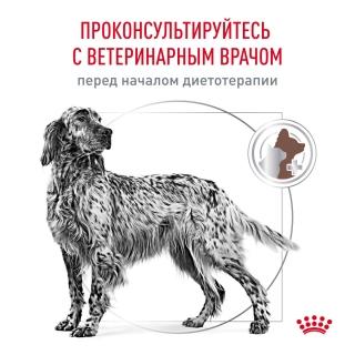 Лечебный сухой корм для собак Royal Canin Gastro Intestinal Low Fat, Гастро Интестинал Лоу Фет (пищевая непереносимость, со склонностью к полноте) — изображение 8