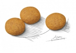 Корм для собак Royal Canin Medium Dermacomfort (для собак с чувствительной кожей) Image 3