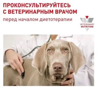 Корм для собак Royal Canin Neutered Adult Small Dogs (диета для взрослых стерилизованных собак весом до 10 кг) — изображение 3
