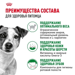 Корм для собак Royal Canin Mini Adult (для взрослых собак от 10 месяцев до 8 лет) Image 3