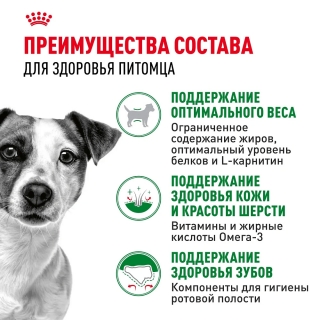Корм для собак Royal Canin Mini Adult (для взрослых собак от 10 месяцев до 8 лет) Image 3