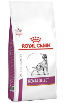 royal159