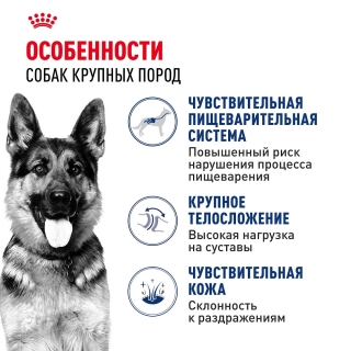 Корм для собак Royal Canin Maxi Adult (для взрослых собак крупных пород с 15 месяцев до 5 лет) Image 1