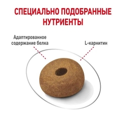Корм для собак Royal Canin Maxi Light Weight Care (для собак крупных пород склонных к полноте) Image 2