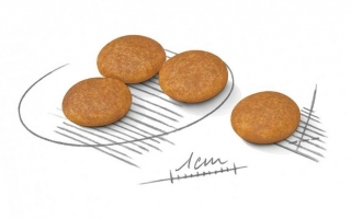 Корм для собак Royal Canin Mini Dermacomfort (для взрослых собак чувствительной кожей) Image 3