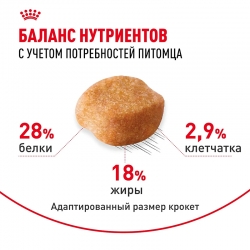 Корм для собак Royal Canin Yorkshire Terrier Adult (Роял канин для йоркширских терьеров, взрослые) Image 5