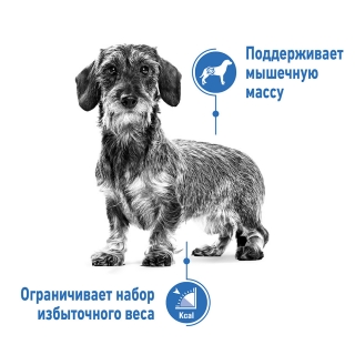 Корм для собак Royal Canin Mini Light Weight Care (избыточный вес) Image 1