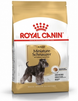 schnauzer2.jpg