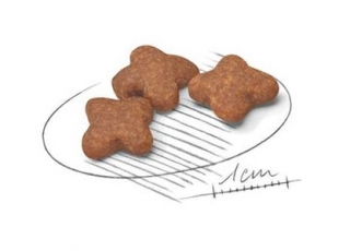 Корм для собак Royal Canin Mini Adult 8+ (для собак мелких пород старше 8 лет)