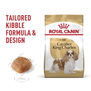 Корм для собак Royal Canin Cavalier King Charles Adult (Роял канин для кавалер чарльз кинг спаниеля, взрослые) Image 1