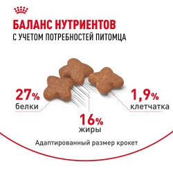 Корм для собак Royal Canin Mini Adult (для взрослых собак от 10 месяцев до 8 лет) Image 5