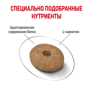 Корм для собак Royal Canin Mini Light Weight Care (избыточный вес) Image 3
