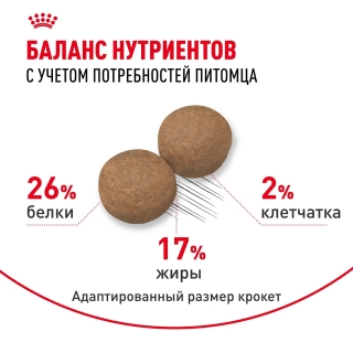 Корм для собак Royal Canin Maxi Adult (для взрослых собак крупных пород с 15 месяцев до 5 лет) Image 3