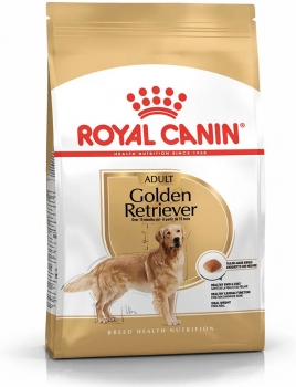 golden-retriver_2.jpg