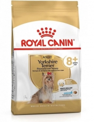 yorkshire-terrier-8-packshot-russie-bhn20.png