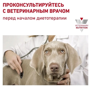 Лечебный сухой корм для взрослых собак Роял Канин Скинтопик, Royal Canin Skintopic Dog Image 3