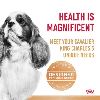 Корм для собак Royal Canin Cavalier King Charles Adult (Роял канин для кавалер чарльз кинг спаниеля, взрослые) Image 2