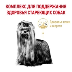 Корм Роял Канин для Йоршкширских терьеров старше 8 лет (Royal Canin Yorkshire Terrier 8+) Image 2