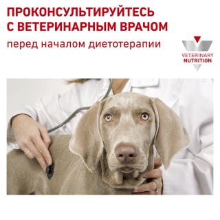 Лечебный сухой корм для собак Royal Canin Anallergenic, Аналлердженик (пищевая аллергия и/или непереносимость) Image 4