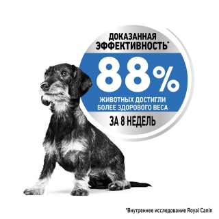 Корм для собак Royal Canin Mini Light Weight Care (избыточный вес) Image 2