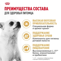 Корм для собак Royal Canin Chihuahua Adult (Роял канин для чихуахуа, взрослые) Image 3