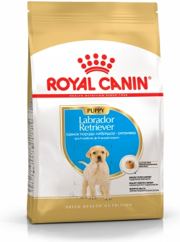 royal73