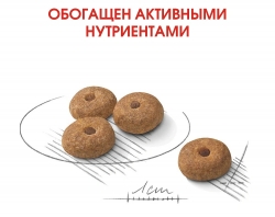Корм для собак Royal Canin Mini Sterilised (Корм для взрослых стерилизованных собак мелких размеров) Image 3