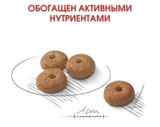 Корм для собак Royal Canin Mini Sterilised (Корм для взрослых стерилизованных собак мелких размеров) Image 3