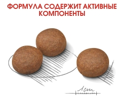 Корм для собак Royal Canin Medium Digestive Care (для собак с чувствительным пищеварением) Image 3