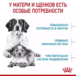 Корм для щенков Royal Canin Medium Starter (для щенков до 2 месяцев) Image 1