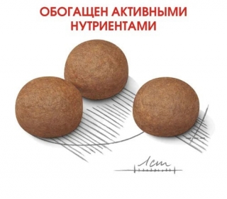 Корм для собак Royal Canin Maxi Digestive Care (для собак с чувствительным пищеварением) Image 3
