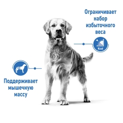 Корм для собак Royal Canin Medium Light Weight Care (склонных к набору веса) Image 1