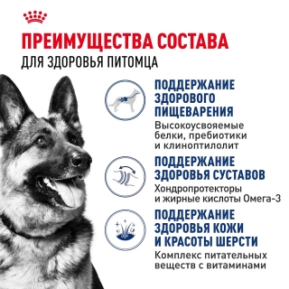 Корм для собак Royal Canin Maxi Adult (для взрослых собак крупных пород с 15 месяцев до 5 лет) Image 2