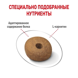 Корм для собак Royal Canin Medium Light Weight Care (склонных к набору веса) Image 3