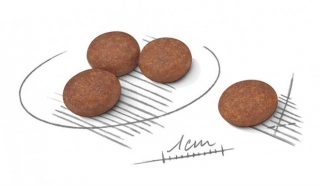 Корм для собак Royal Canin Mini Digestive Care (с чувствительным пищеварением) Image 3
