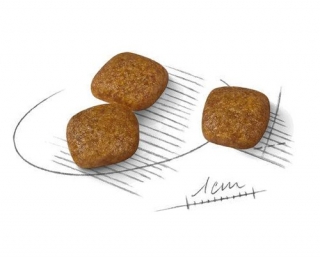 Корм для собак Royal Canin Mini Urinary Care (Роял Канин профилактика заболеваний мочеполовой системы для собак мелких пород) Image 3
