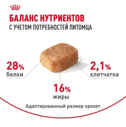 Корм для собак Royal Canin Chihuahua Adult (Роял канин для чихуахуа, взрослые) Image 4