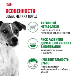 Корм для собак Royal Canin Mini Adult (для взрослых собак от 10 месяцев до 8 лет) Image 2