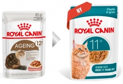 Корм для кошек старше 11+ лет кусочки в соусе (Royal Canin Ageing +11 in GRAVY), 12*85 гр Image 1