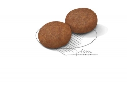 Корм для собак Royal Canin Medium Adult 7+ (для собак средних пород от 7 лет) Image 2