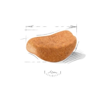 Корм для собак Royal Canin Rottweiler Adult (Роял канин для ротвейлера, взрослые) Image 2